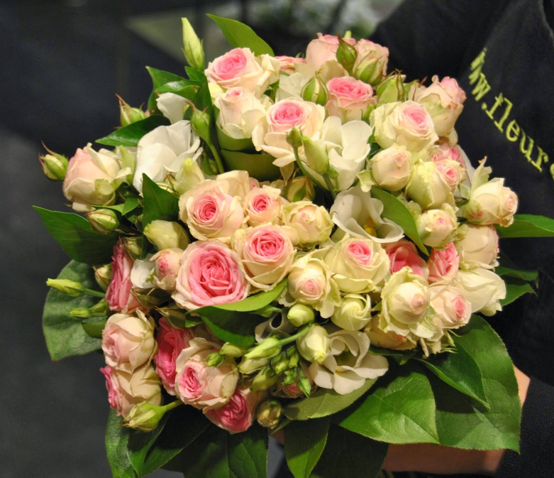 Photo de base du commerce